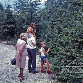 Eine Familie wandert auf einem Waldweg bei Bad Feilnbach und genießt die oberbayrische Natur.